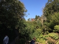 2015-04-14 12.18.03.jpg