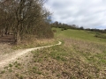 2015-04-19 10.22.21.jpg