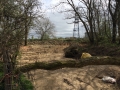 2015-04-19 10.39.14.jpg