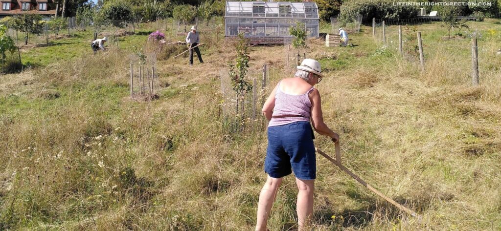 A Community Mow - everyone getting on with it